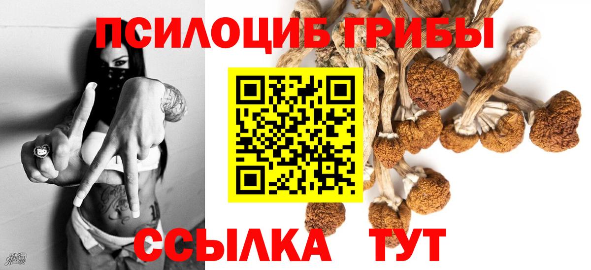 Псилоцибиновые грибы Magic Shrooms Ярославль